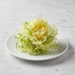 Frisee Lettuce